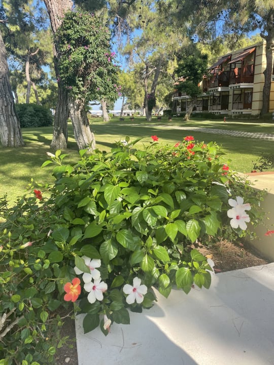 Gartenanlage ROBINSON ÇAMYUVA