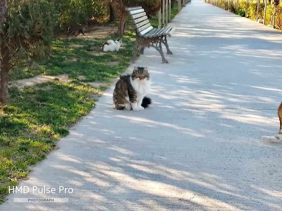 Sonstiges Melas Lara Hotel