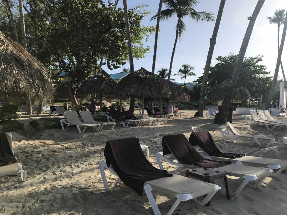Strand Dreams La Romana Resort & Spa