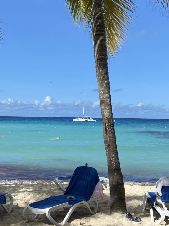 Strand Hotel Viva Dominicus Beach by Wyndham - All Inclusive Resort