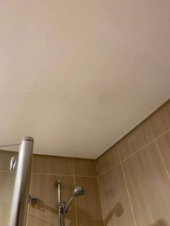 Zimmer AMC Royal Hotel & SPA