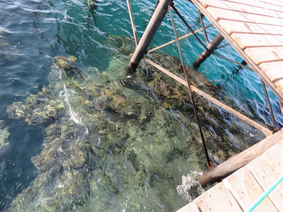 Strand Brayka Bay Resort