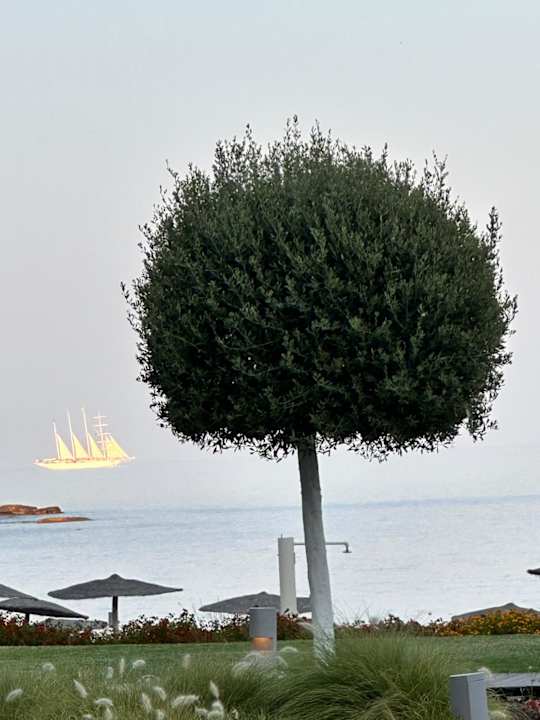 Sonstiges Elysium Resort & Spa Hotel