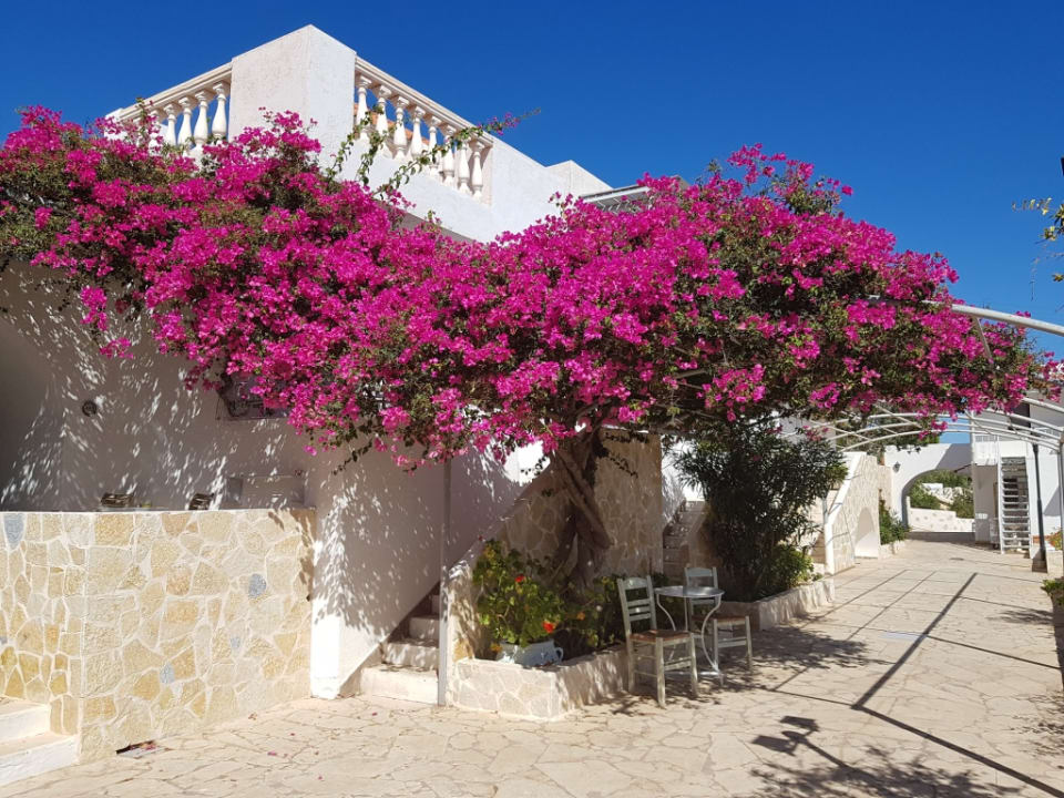 Außenansicht Aroma Creta Hotel Apartments & Spa