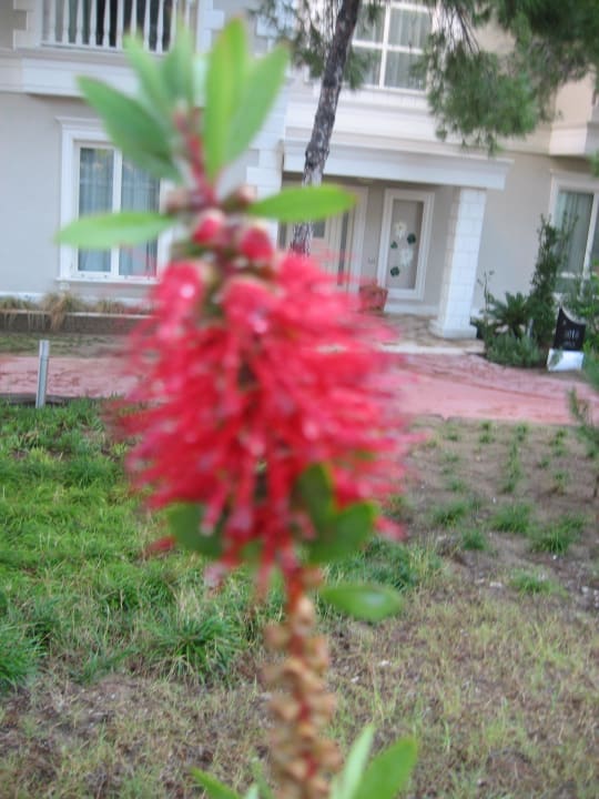 Территория Maxx Royal Belek Golf Resort