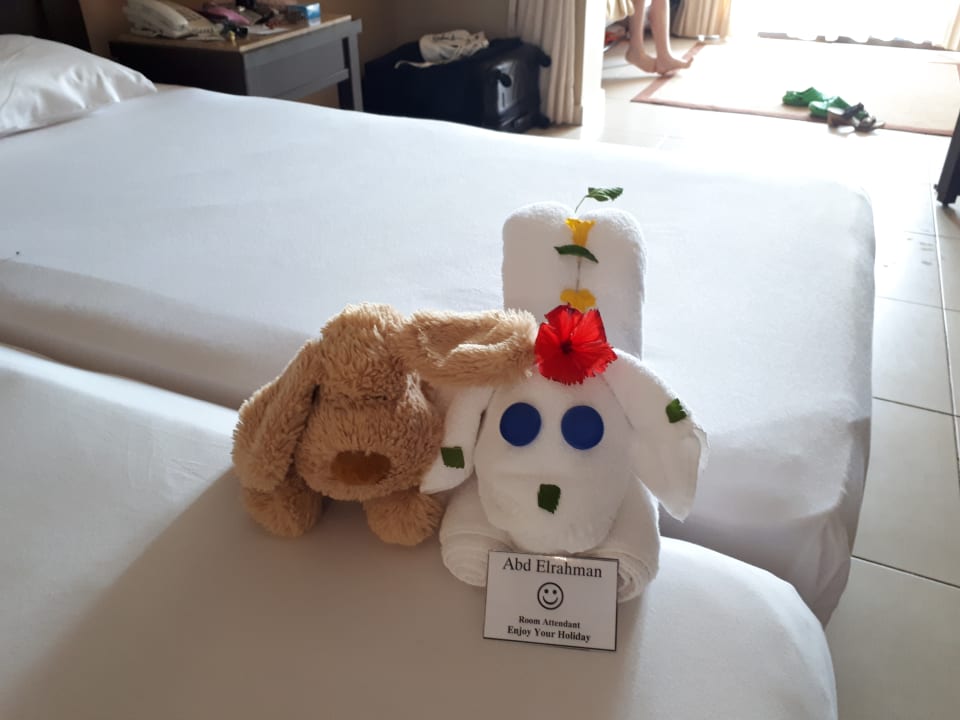 Zimmer Jaz Dar EL Madina