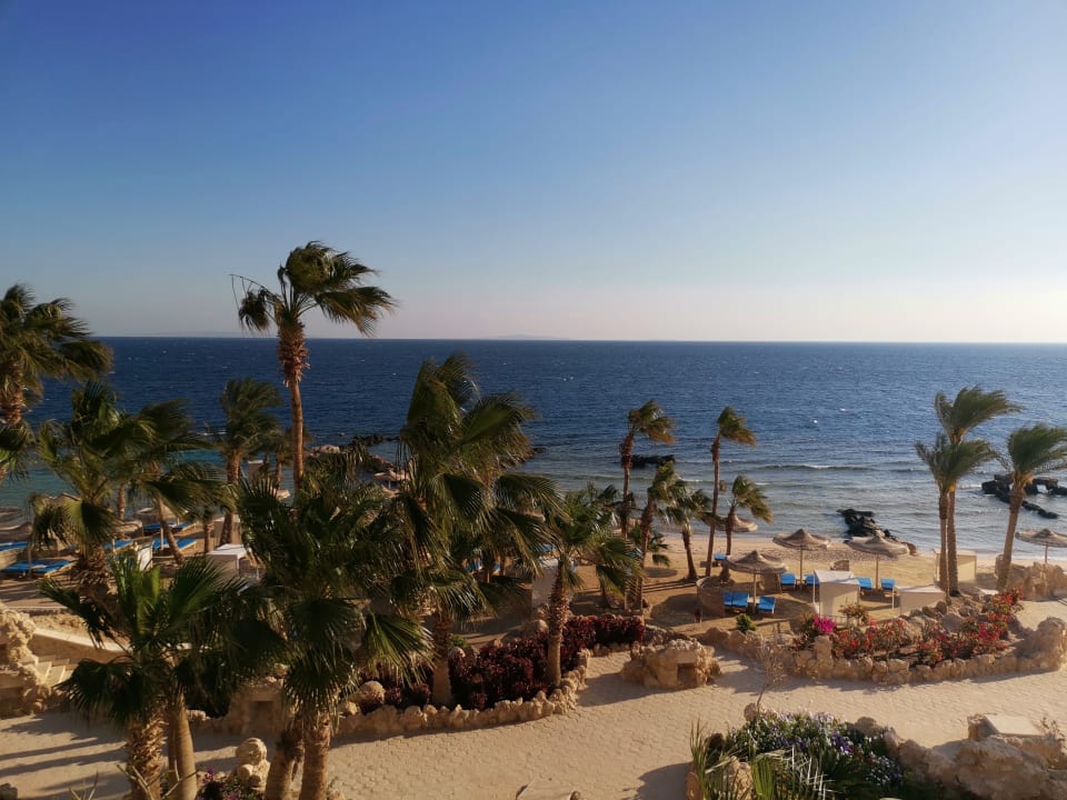 Ausblick Pickalbatros Citadel Resort