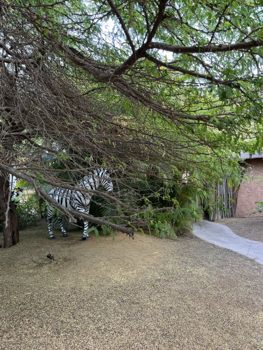 Gartenanlage Lopesan Baobab Resort