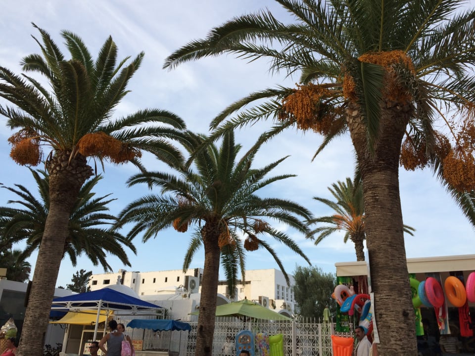 Sonstiges Samira Club
