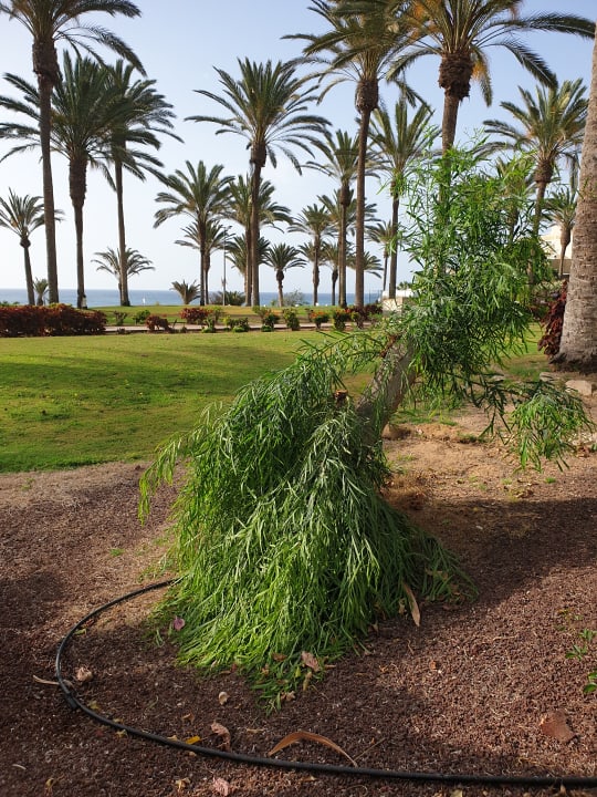 Gartenanlage SBH Hotel Costa Calma Palace