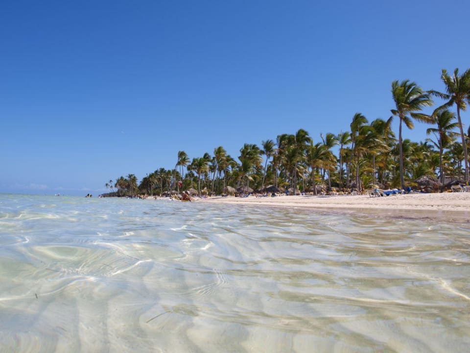 Wasser und Strand Catalonia Punta Cana - All Inclusive