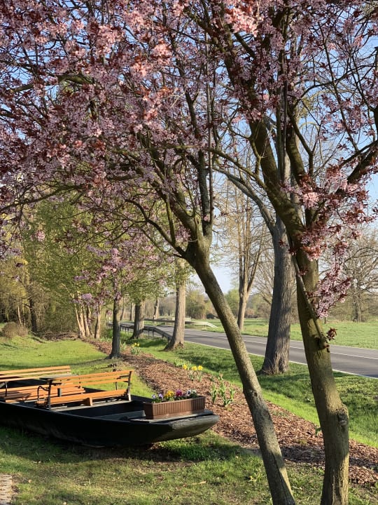 Gartenanlage Hotel & Restaurant Zur Spreewälderin