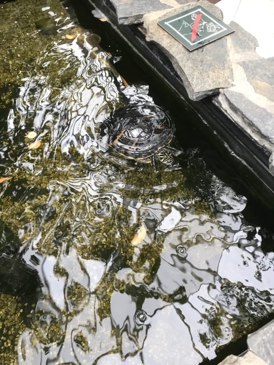 Sonstiges Center Parcs Park Zandvoort - Ferienhäuser