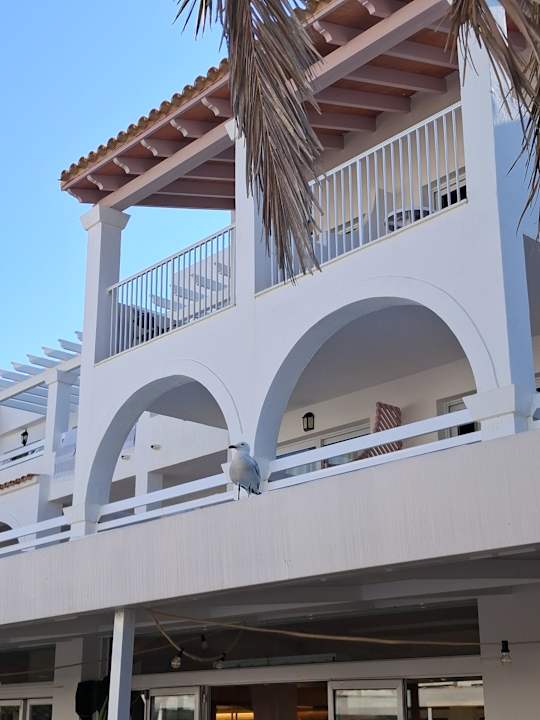 Gastro Calimera Fido Gardens