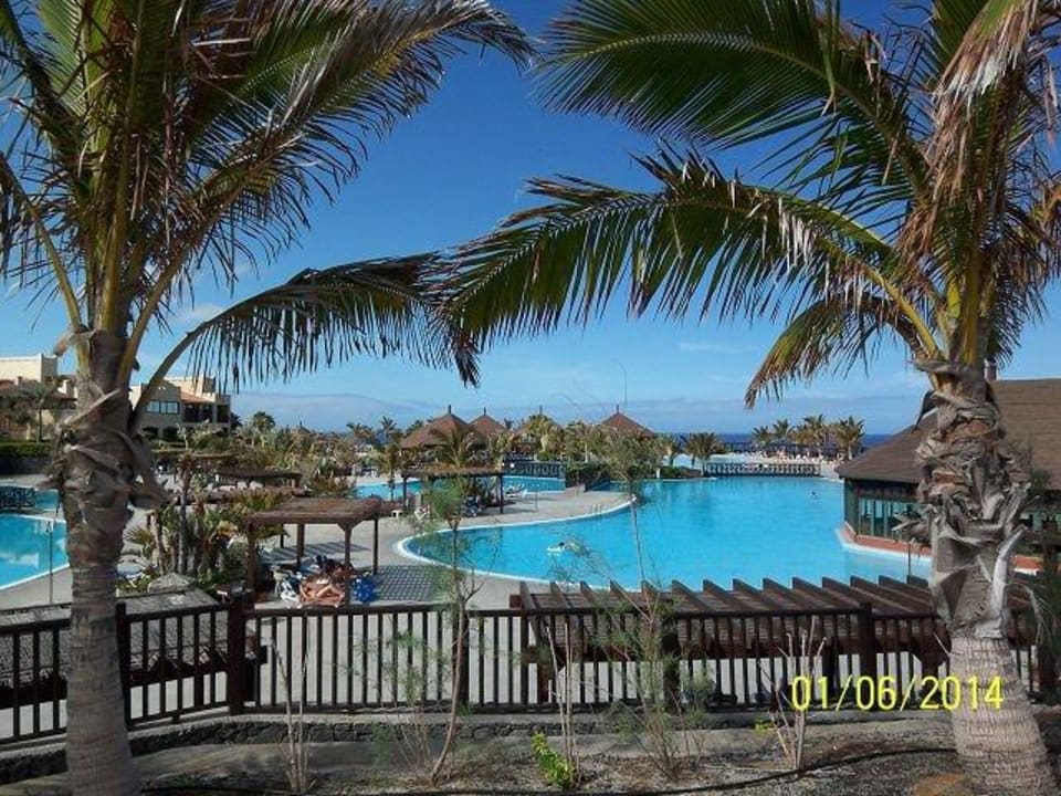 Pool mit garten La Palma Princess