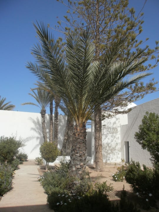 Innenhof unserer Bungalowanlage G Hotel El Mouradi Djerba Menzel