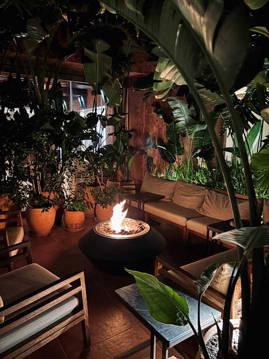 Sonstiges DAIOS COVE