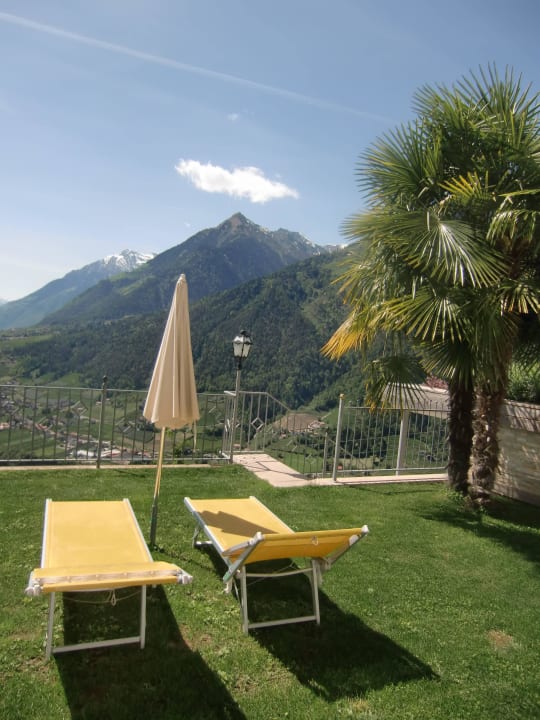 Schnee und Palme Hotel Panorama