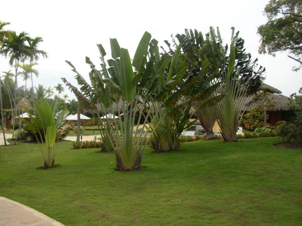 Gartenanlage Marien Puerto Plata