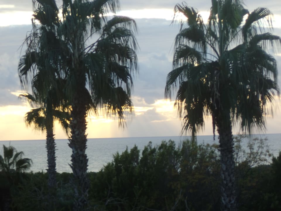 Ausblick Alba Resort Hotel