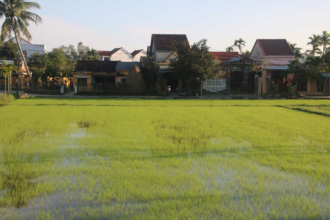 Gartenanlage Hoi An Lemongrass Homestay