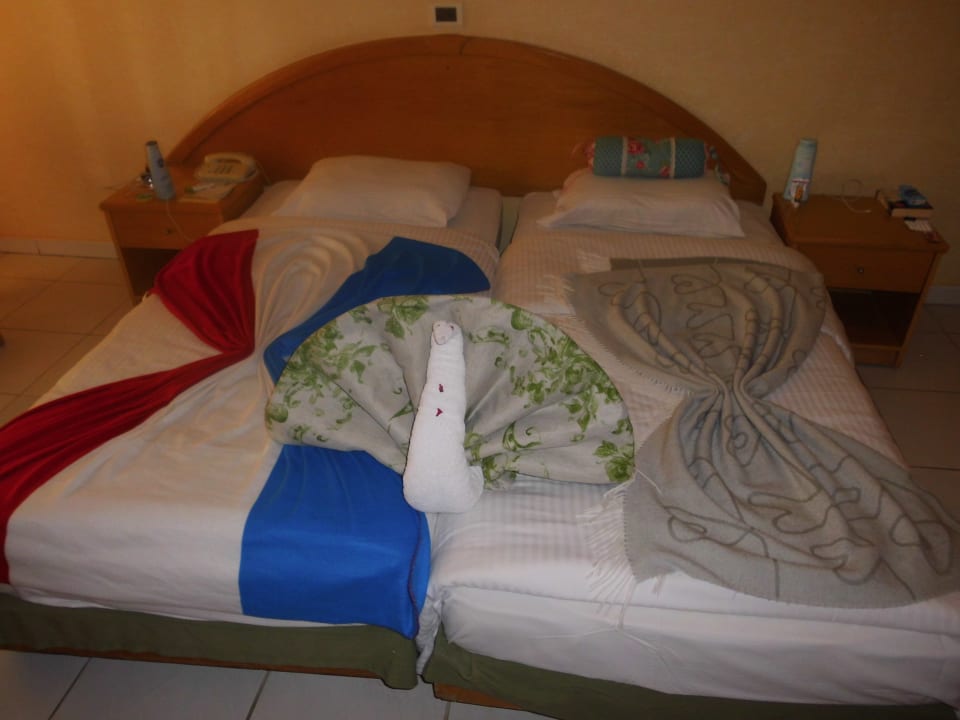 Zimmer Ghazala Gardens