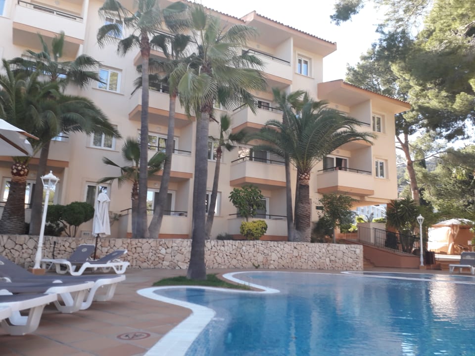 Pool Valentin Reina Paguera