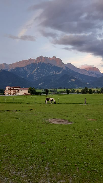 Gartenanlage Thomanhof Ferienwohnungen
