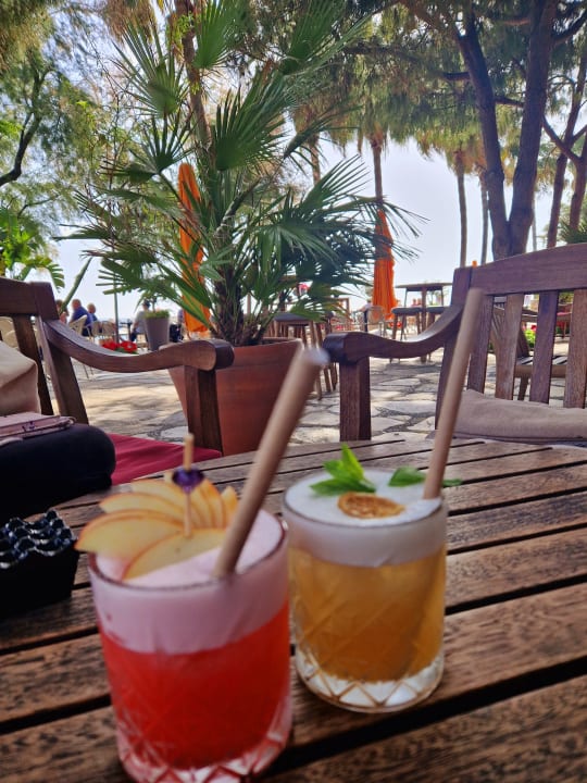 Gastro Arum Barut Collection