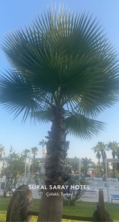 Pool Süral Saray Hotel