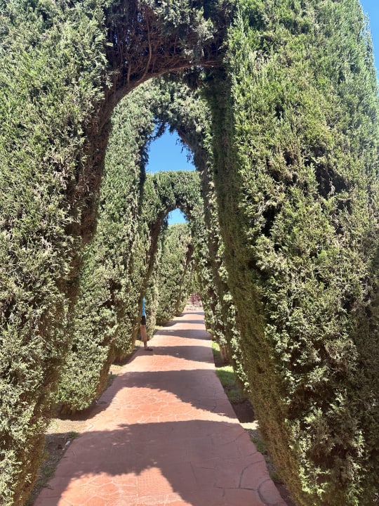 Gartenanlage allsun Hotel Esplendido