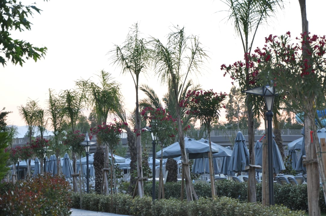 Gartenanlage Royal Seginus