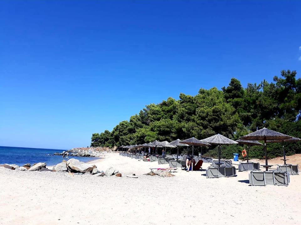 Strand Blue Dolphin Resort Hotel