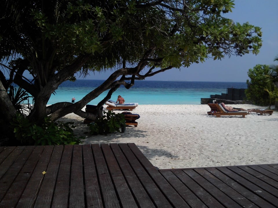 Ausblick vom Pool auf das Meer Adaaran Select Meedhupparu Island Resort - Premium All Inclusive