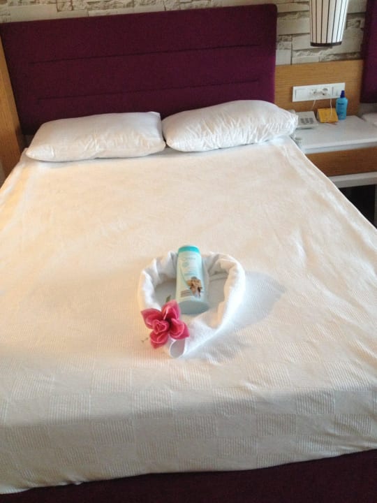 Vom Personal verwöhnt TUI MAGIC LIFE Jacaranda