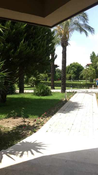 Gartenanlage TUI BLUE Palm Garden