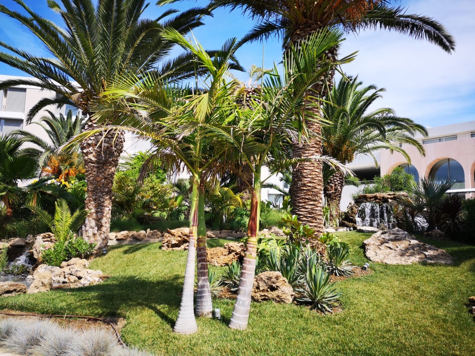 Gartenanlage Caravia Beach Hotel