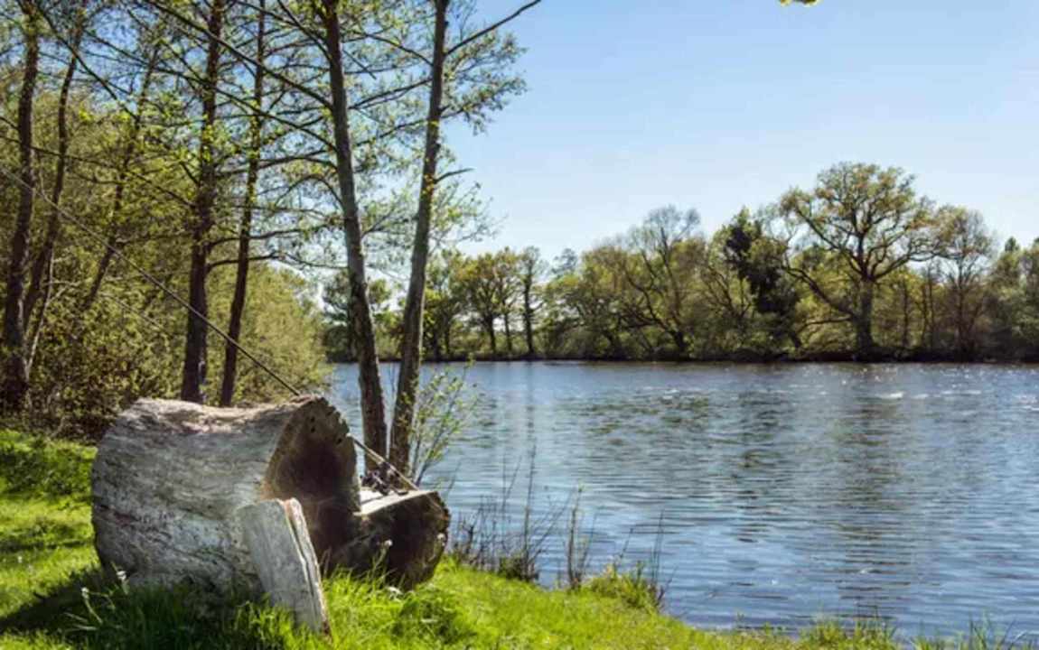 Gartenanlage B&B Château de l'Epinay