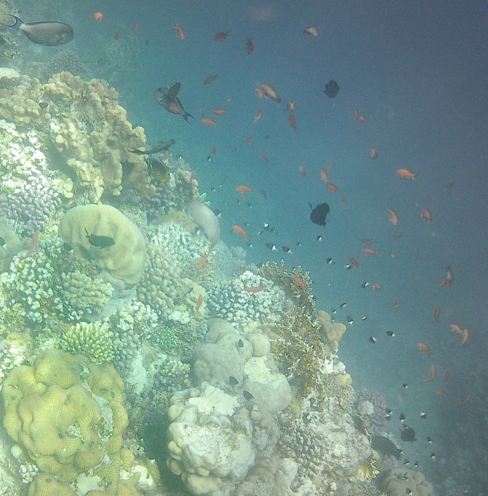 Strand Three Corners Sea Beach Resort