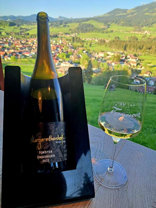 Ausblick Hotel Tanneck