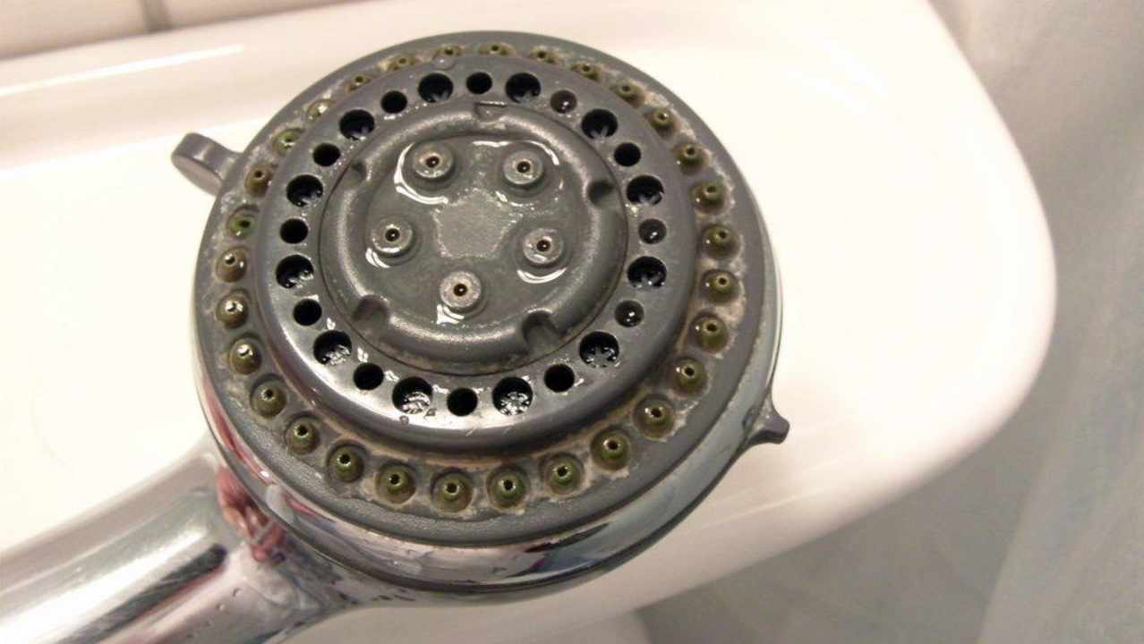 Duschkopf verdreckt und verkalkt PLAZA INN Hamburg Moorfleet