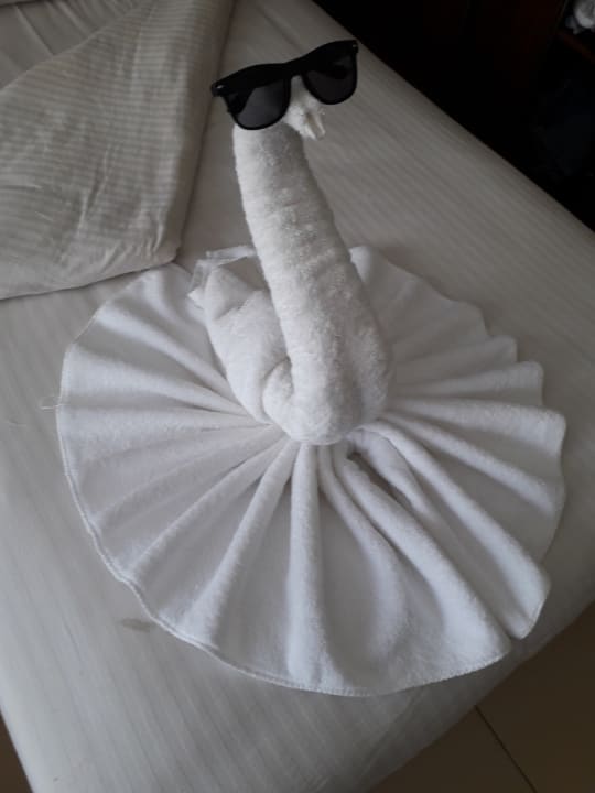 Zimmer Royal Star Beach Resort