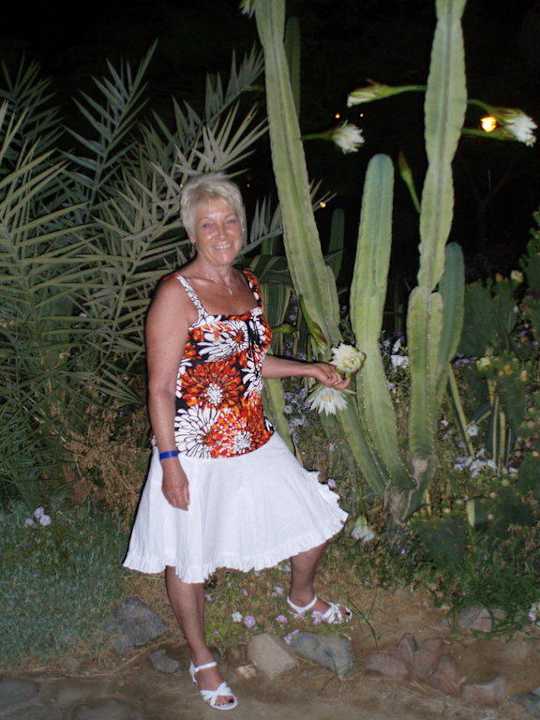 im Paradies Brayka Bay Resort