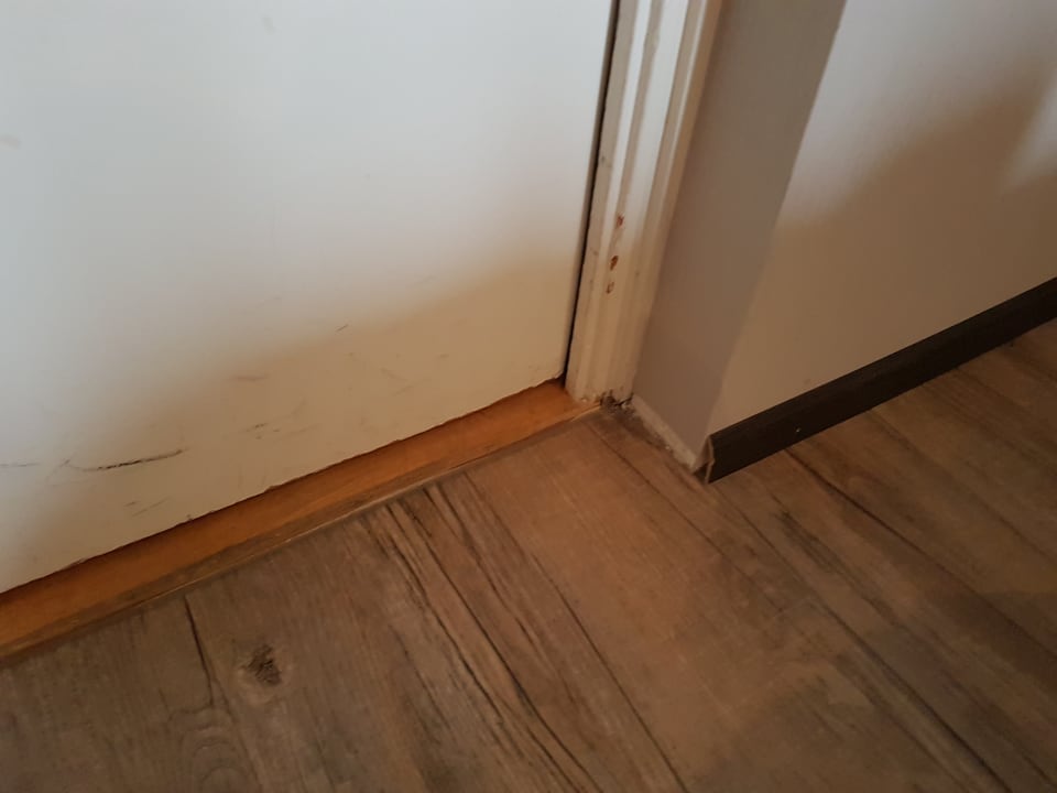 Zimmer Park Centraal Den Haag, part of Sircle Collection