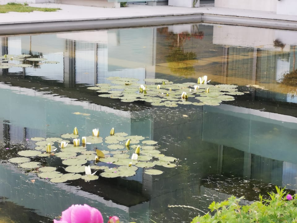 Außenansicht LOISIUM Wine & Spa Hotel Langenlois