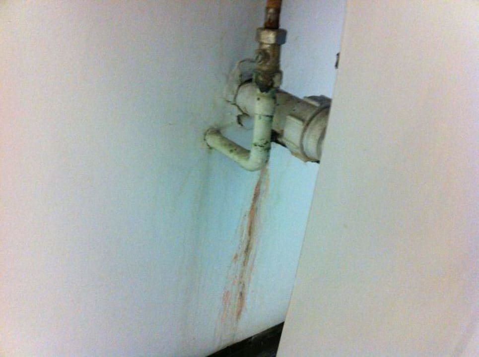 Schimmel im Bad Ibis Styles London Walthamstow