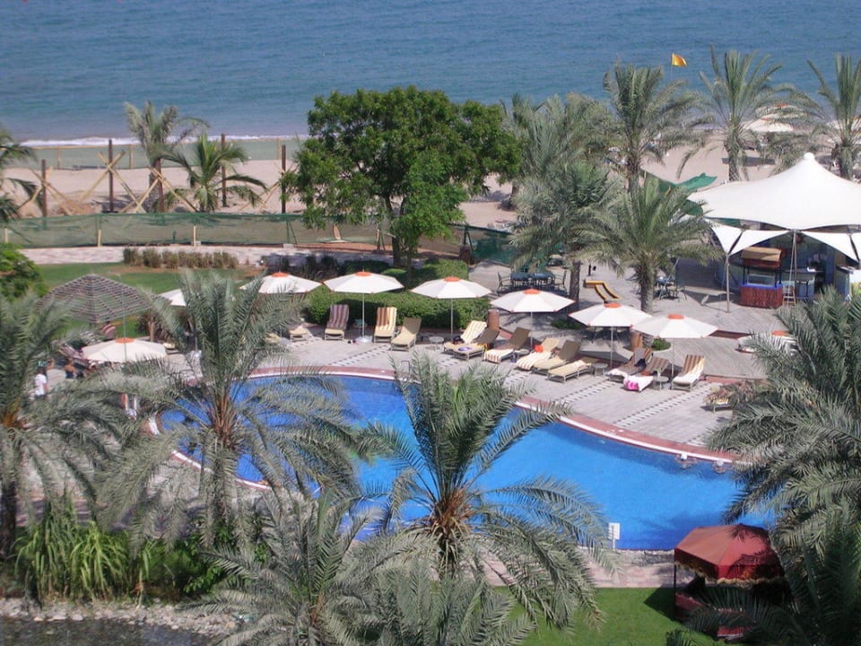 Pool Hotel Le Meridien Al Aqah Beach Resort