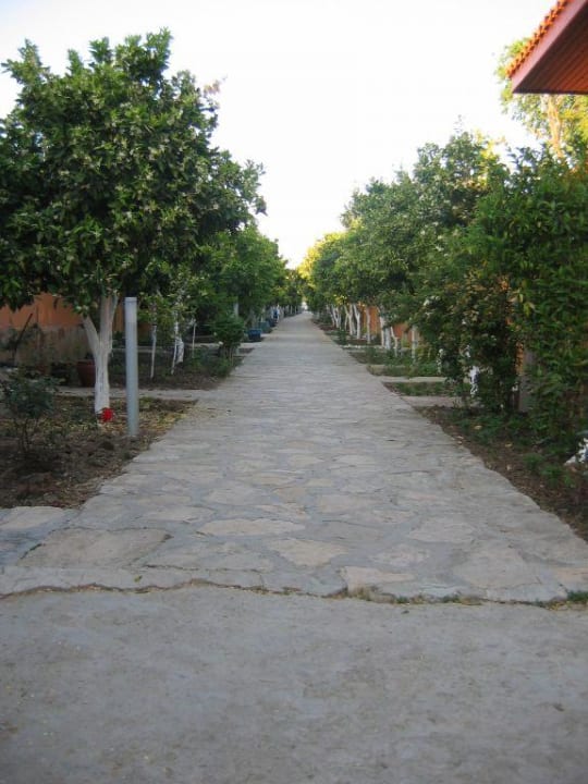 Sehnsucht Özlem Garden Hotel