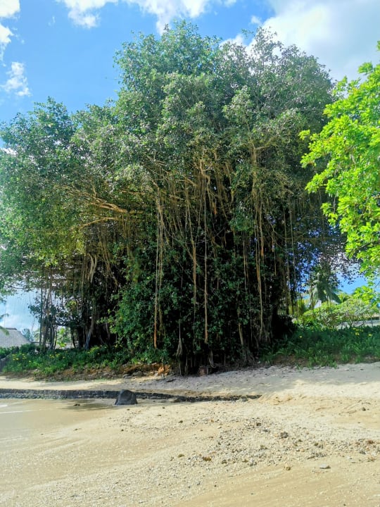 Strand Maritim Resort & Spa Mauritius
