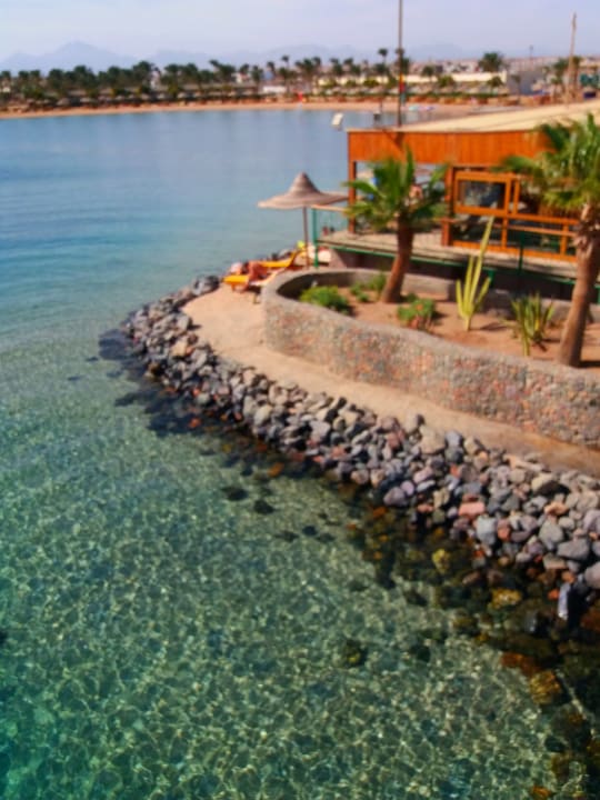 Ausblick Desert Rose